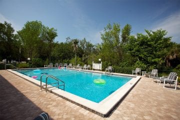 pool and deck